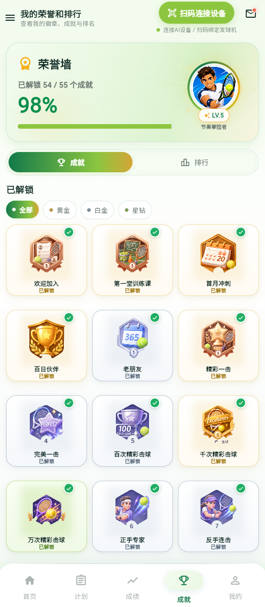 成就展示
